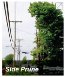 Side prune