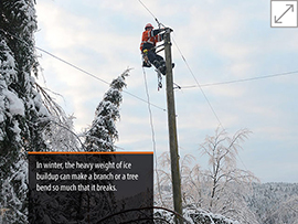 tree maintenance image winter