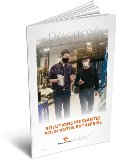 Solutions puissantes pour votre entreprise