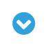 Check icon