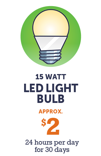Graphic - 15 watt LED light bulb (approx. $2 - 24 hours per day for 30 days)