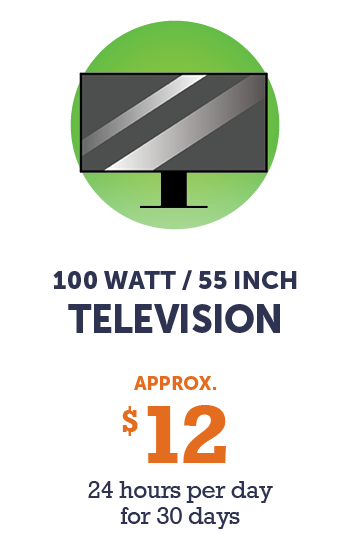 Graphic - 100 watt Television - 55 inch (approx. $12 - 24 hours per day for 30 days)