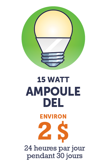 Graphique - 15 watt Ampoule DEL  (environ 2 $ - 24 heures par jour pendant 30 jours)