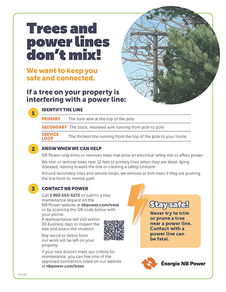 Trees and power lines don't mix!
