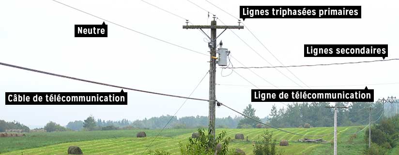 Types de lignes